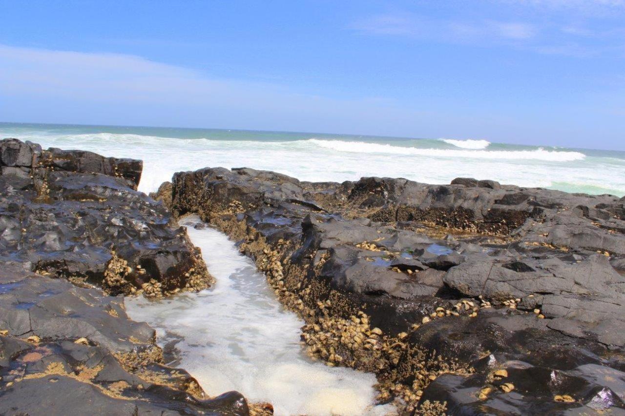 Apartament Silver Dolphin Holidays Amanzimtoti Zewnętrze zdjęcie