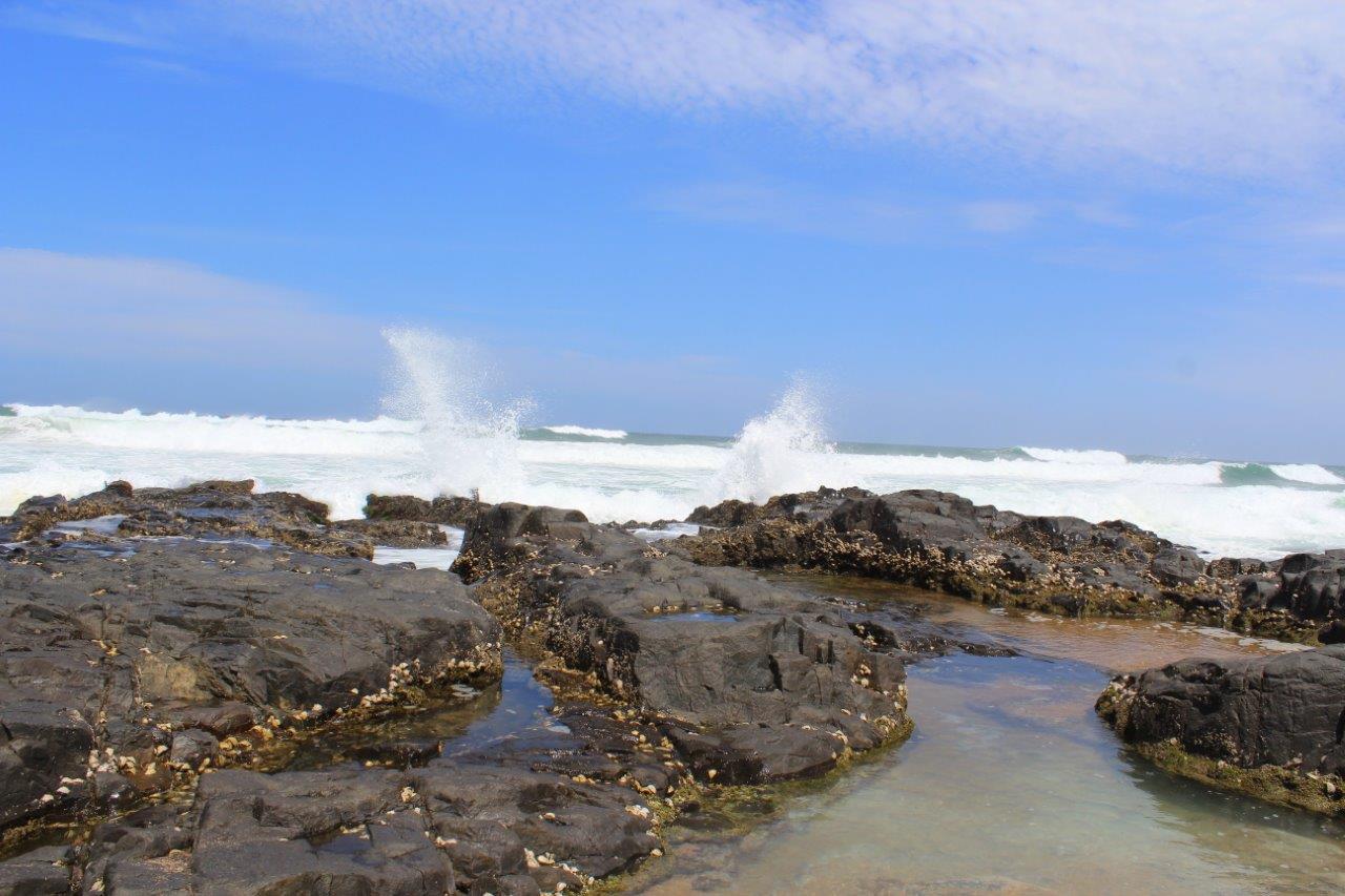 Apartament Silver Dolphin Holidays Amanzimtoti Pokój zdjęcie