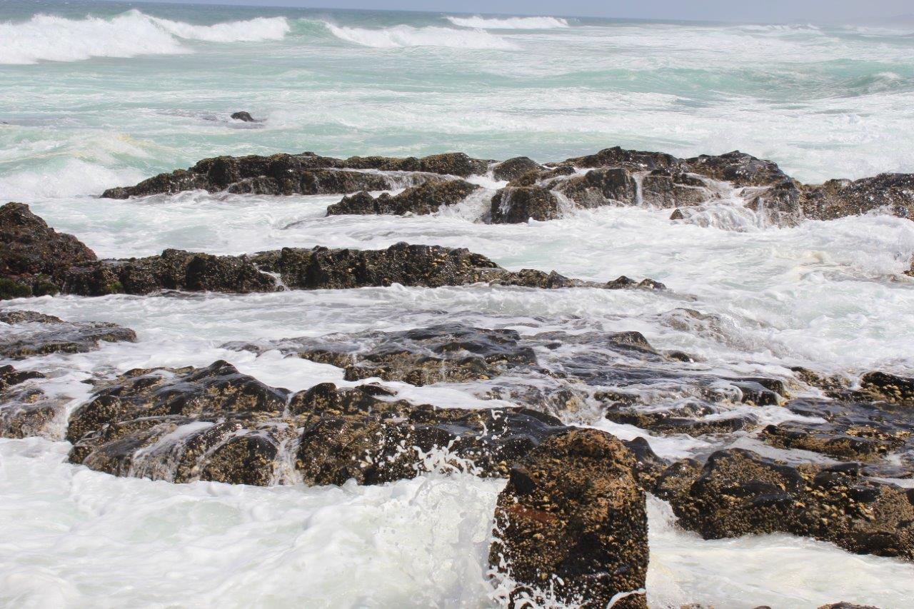 Apartament Silver Dolphin Holidays Amanzimtoti Pokój zdjęcie